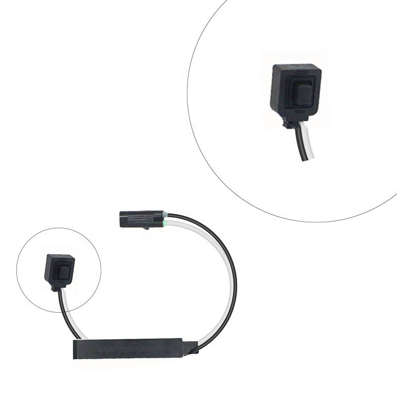Tronix Car Interior Accessories Car OEM Car Manufacturer PEPS System Door Lock Low Frequency Antenna