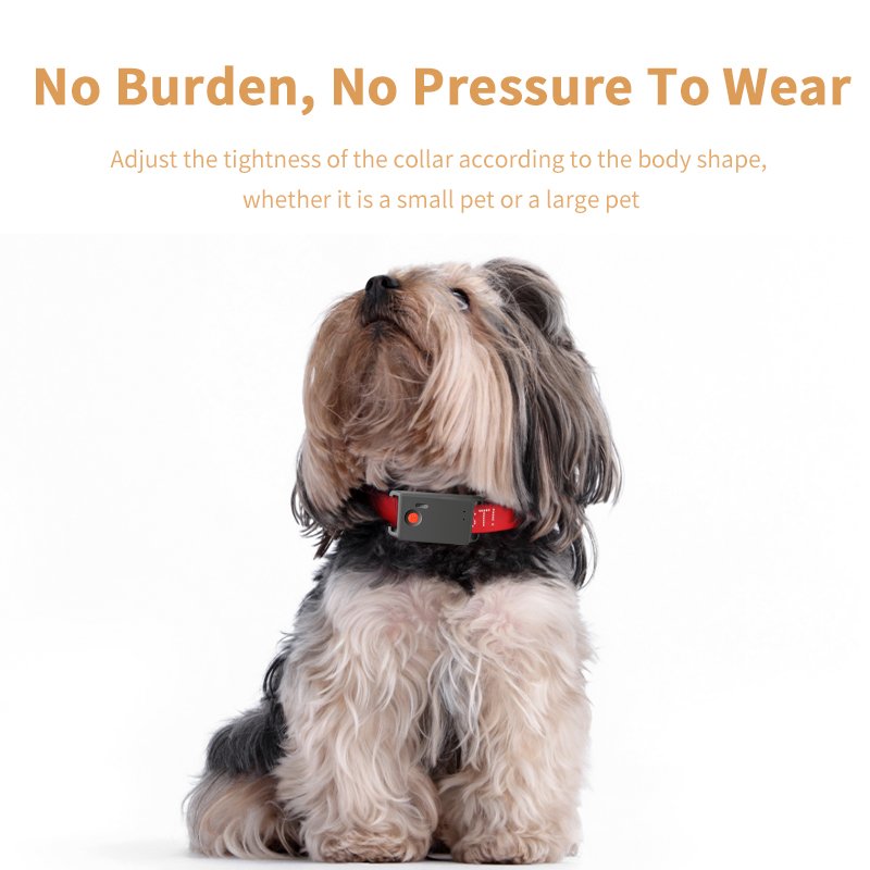 GPS/BDS/LBS Real Time Locator 2G Gps Tracker Women Men Sport Watch for Ios Android Geo Fencing Long Battery for Kids Pets