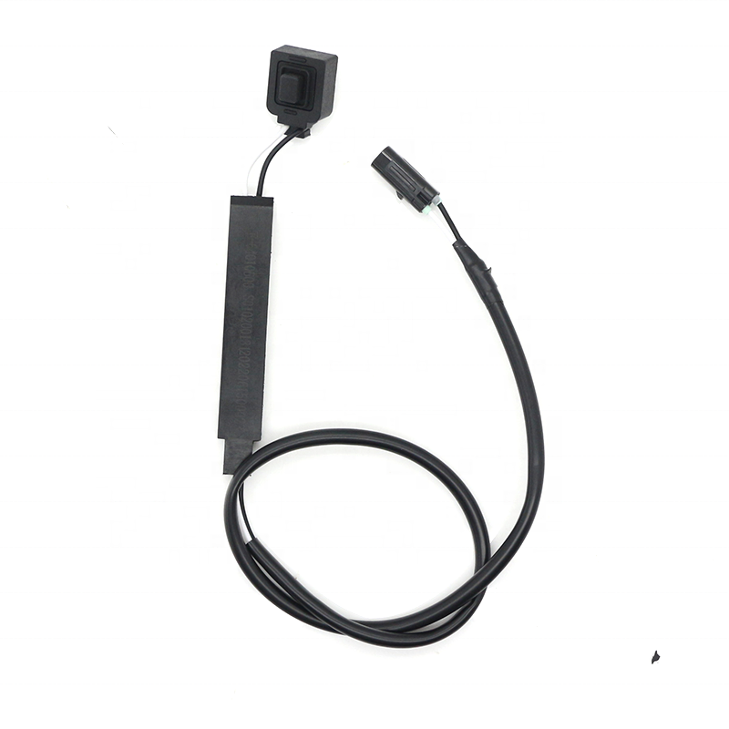 Tronix New Arrival OEM Car Manufacturer PEPS System Door Lock Low Frequency Antenna