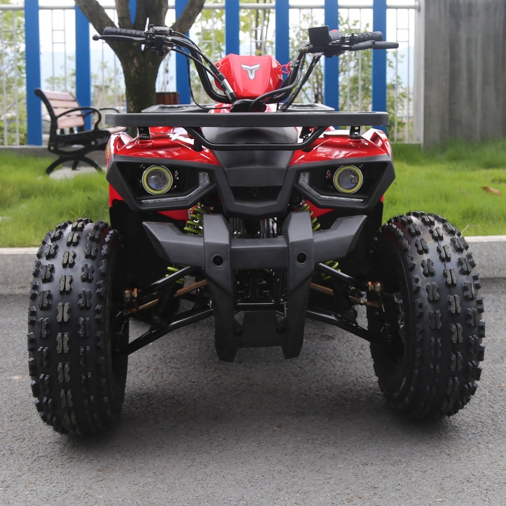 Tao Motor Cruiser 777 New Quad ATV 125 ATV125-10 with CE EPA