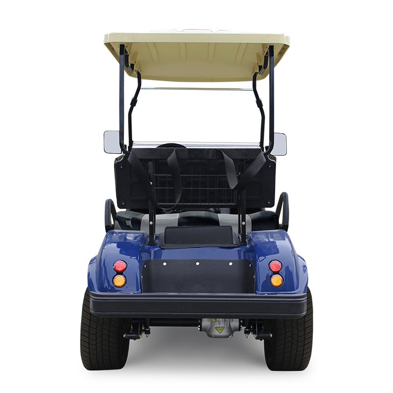HDK EV Utility Vehicle Lithium Battery Atv Buggy Golf Carts Powered 2 Seat UTV 6.3kw Electric Golf Carts
