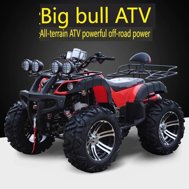 Differential GY6 200CC Quad Bike 4 Stroke Gas Powered Kids Quad Bike All Road Chain China ATV 10inch Alu. Wheeler