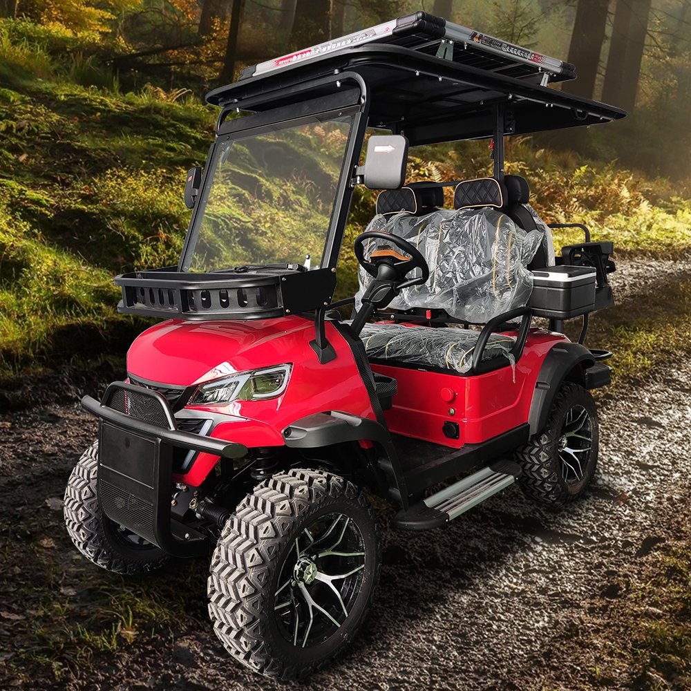 From China Prices Electric Golf Car 2+2 (4) Seat Gas Powered Golf Car