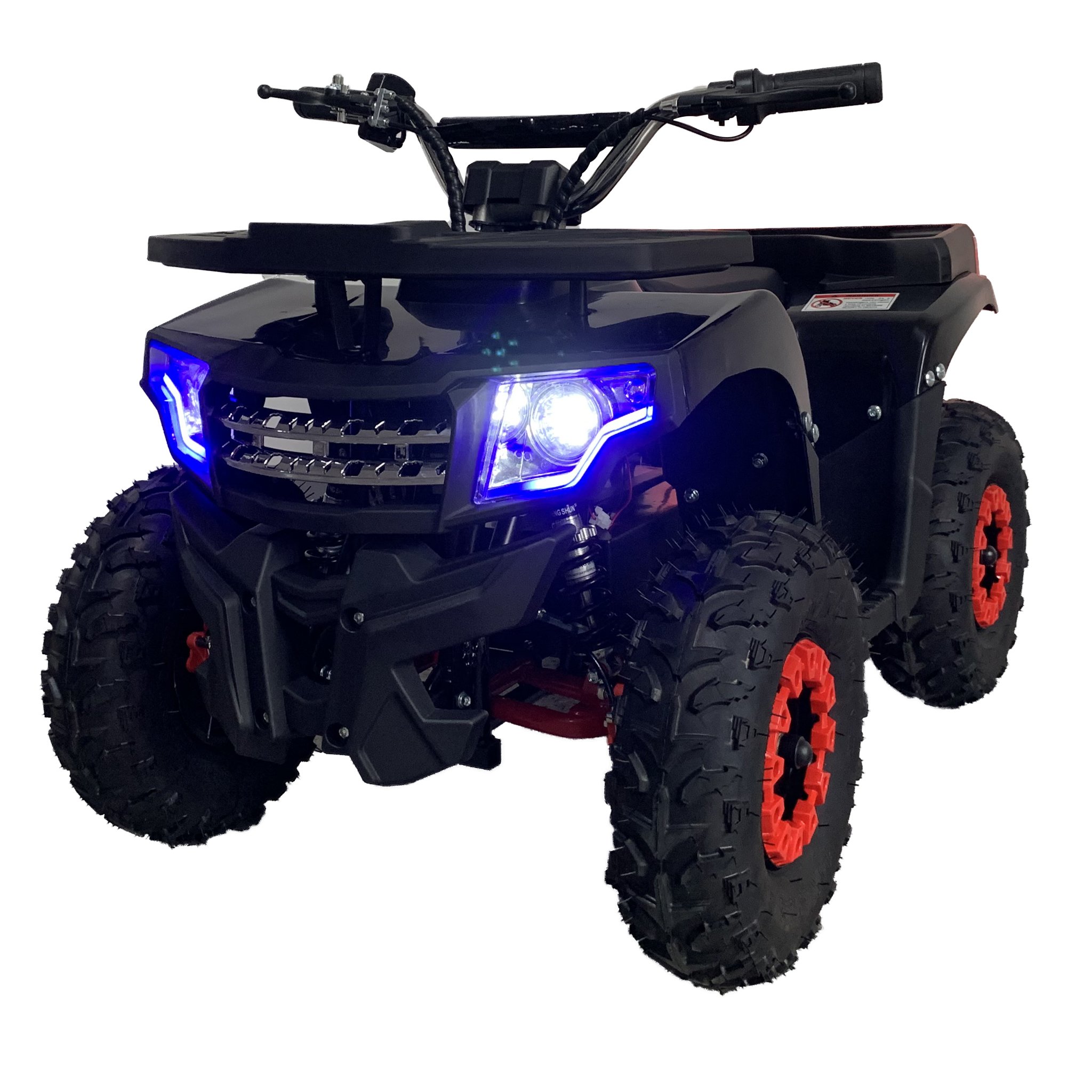 New Model Outdoor Electric Quad Bike Toy Mountain Beach Buggy Atv Electric Sports Vehicles for Kids Adult