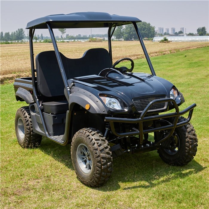 Electric Utvs Street Legal Dune Buggy 4x4 Utility Terrain Vehicle Utvs With Eec