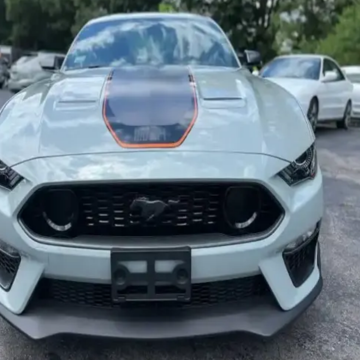 Perfect Used 2021/2022 Ford Mustang F O R D