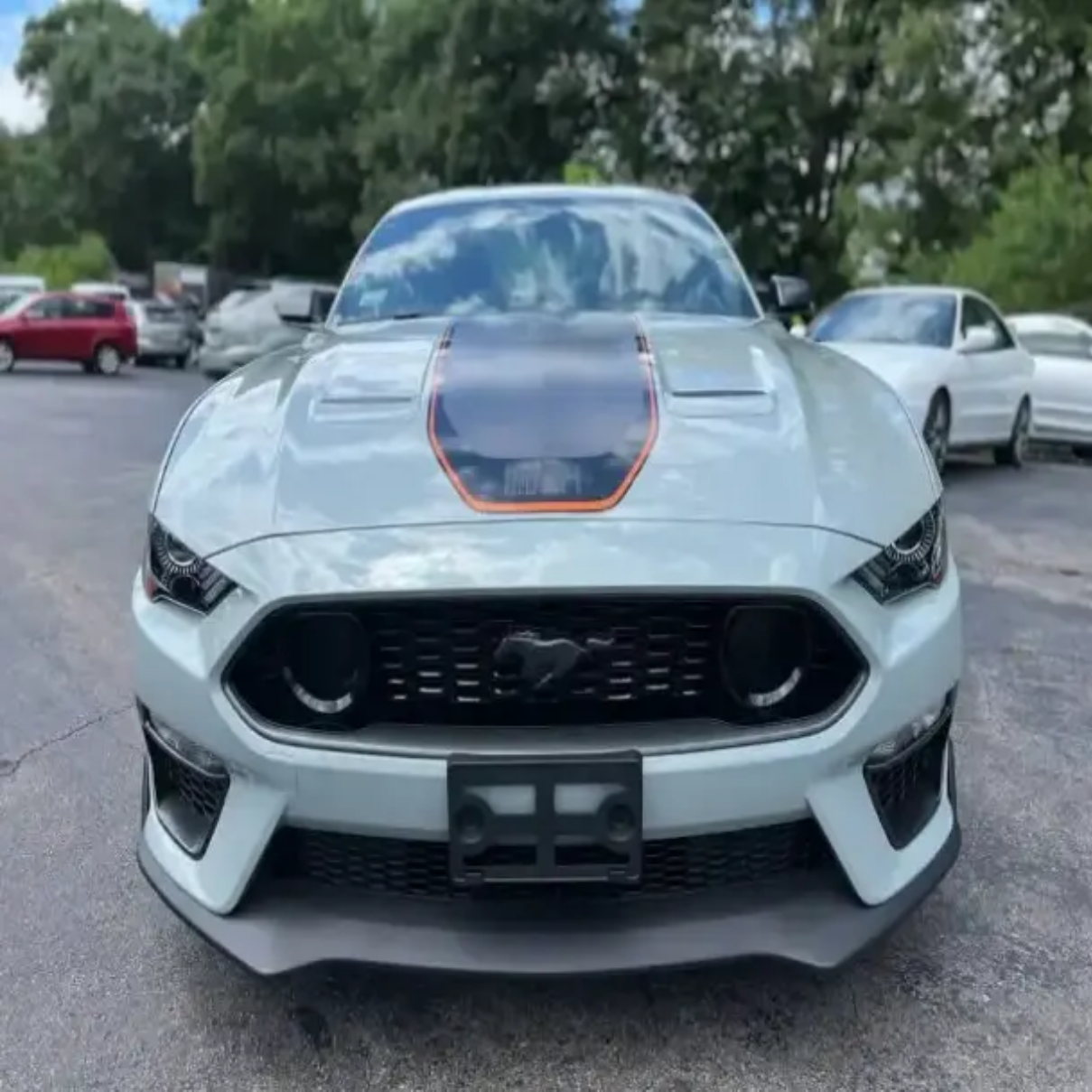 Perfect Used 2021/2022 Ford Mustang F O R D