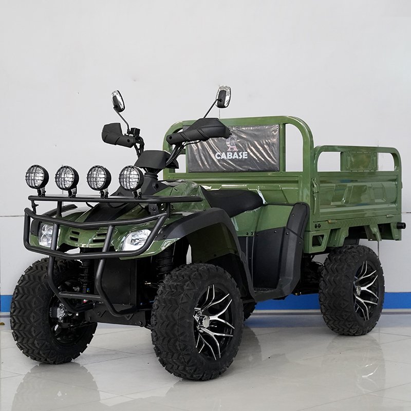HighPower 3500W AllTerrain OffRoad ATV Freight Electric Vehicle