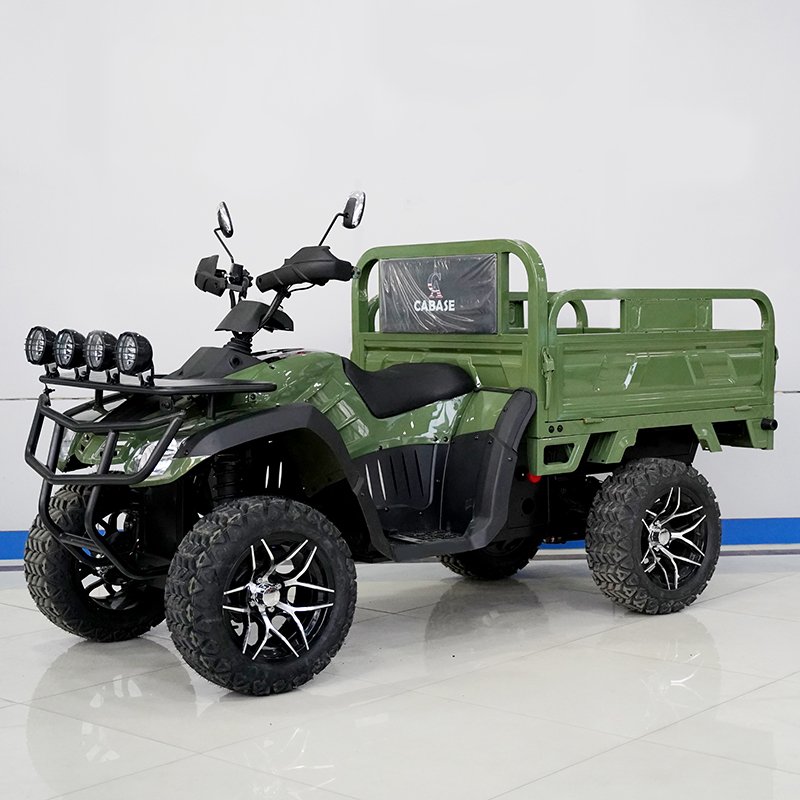 HighPower 3500W AllTerrain OffRoad ATV Freight Electric Vehicle