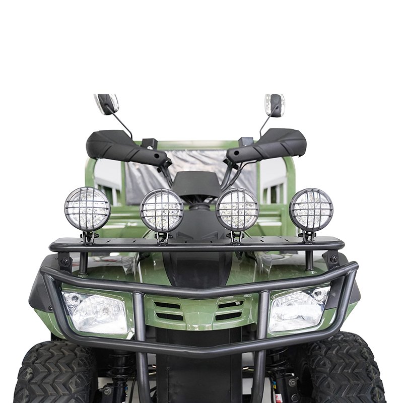 HighPower 3500W AllTerrain OffRoad ATV Freight Electric Vehicle