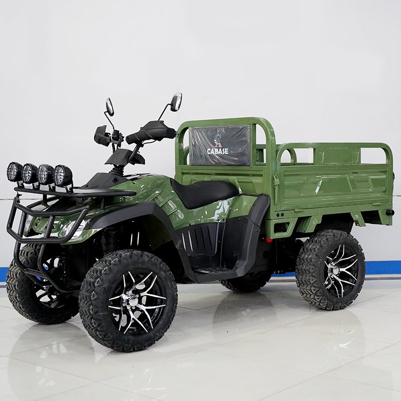 HighPower 3500W AllTerrain OffRoad ATV Freight Electric Vehicle