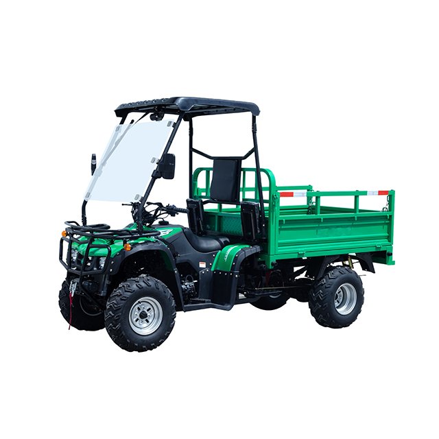 Small Farm Utility Rough Terrain Vehicle ATV Farm 250cc Automatic Gasoline Quad Atv for Sale