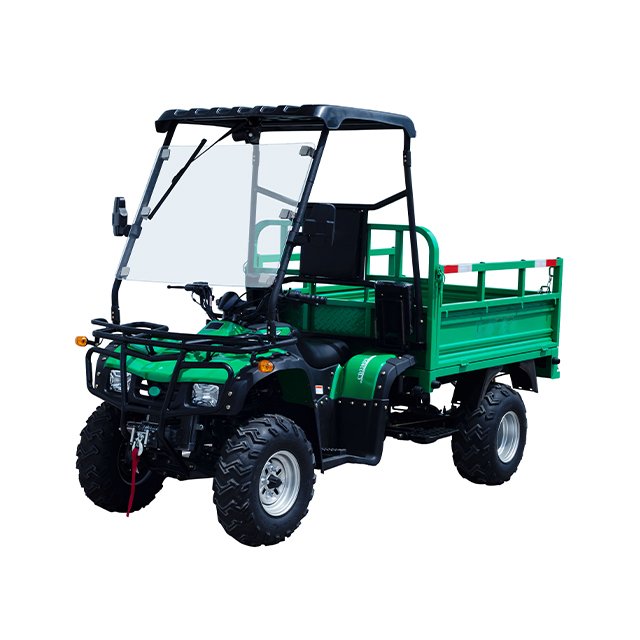 Small Farm Utility Rough Terrain Vehicle ATV Farm 250cc Automatic Gasoline Quad Atv for Sale