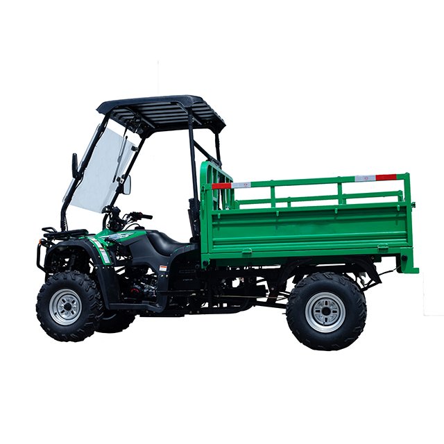 Small Farm Utility Rough Terrain Vehicle ATV Farm 250cc Automatic Gasoline Quad Atv for Sale