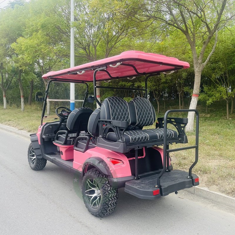 KEPLER 2 4 6 Seat New Energy Vehicle ATV UTV 4 Seats 48v 72v for Sale Electric Golf Carts