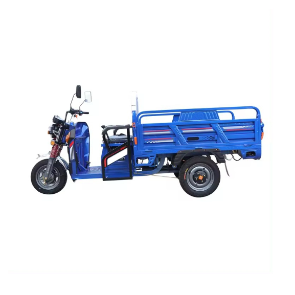 125cc 150cc Motorcycle Trike Gasoline Tricycle Adult Touring Motorcycles 3 Wheels