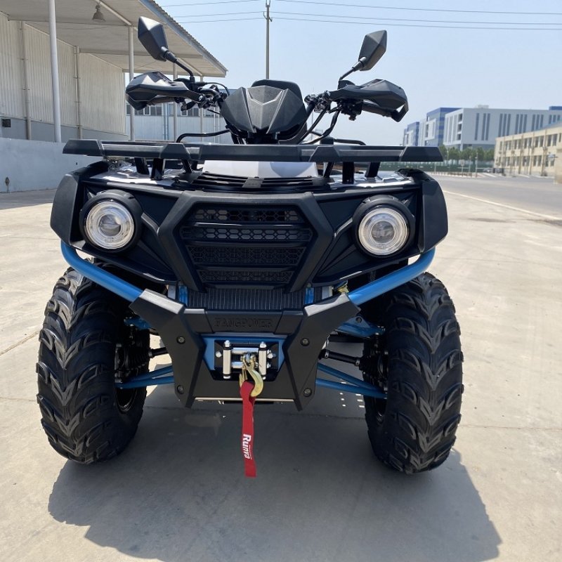 1100kg 2500lbs Electric Winch for Atv Utv Mini 12v Winch for Sale