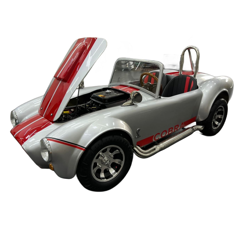 Gas 150CC Mini Cobra Car 4x4 Hot Rod Car 2 Seat Golf Cart for Sale