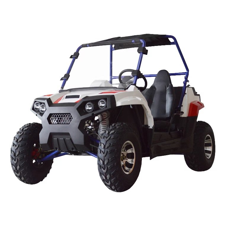 2024 Newest High Quality 200cc 300cc 2 Seats UTV Buggy for Adult