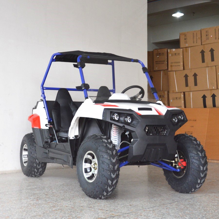 2024 Newest High Quality 200cc 300cc 2 Seats UTV Buggy for Adult
