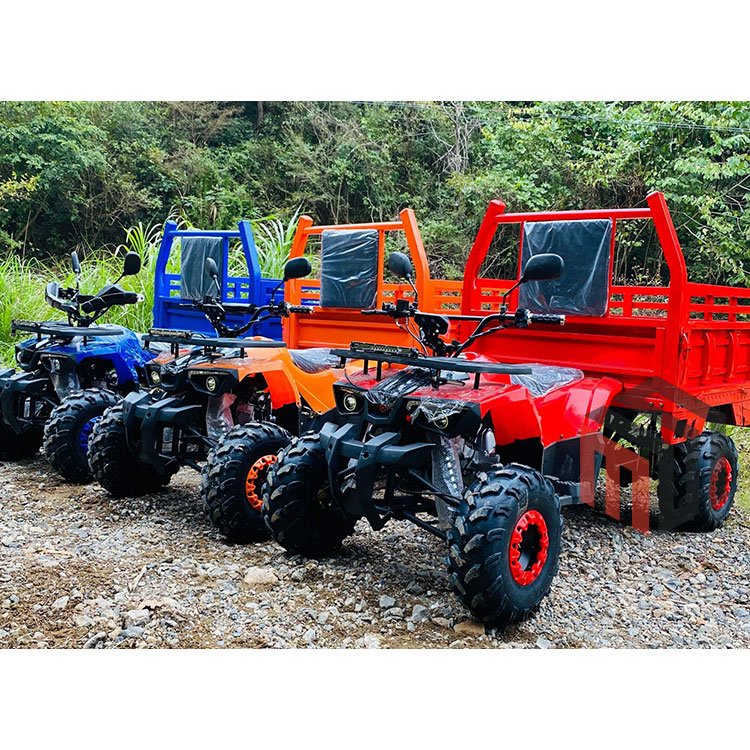 China 4WD Off-road Utility Vehicle Front Rear Axle 4 Stroke Drive 4X4 Farm ATV UTV with Trailer