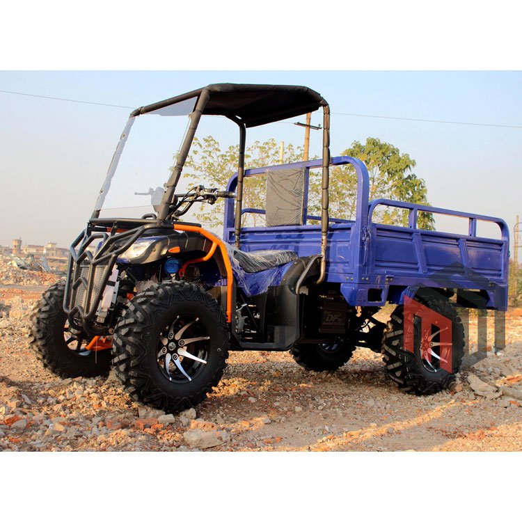 China 4WD Off-road Utility Vehicle Front Rear Axle 4 Stroke Drive 4X4 Farm ATV UTV with Trailer