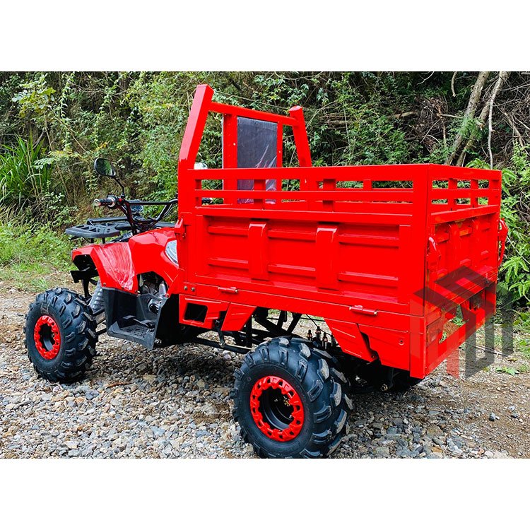 China 4WD Off-road Utility Vehicle Front Rear Axle 4 Stroke Drive 4X4 Farm ATV UTV with Trailer