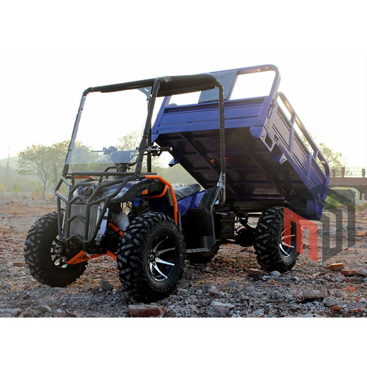 China 4WD Off-road Utility Vehicle Front Rear Axle 4 Stroke Drive 4X4 Farm ATV UTV with Trailer