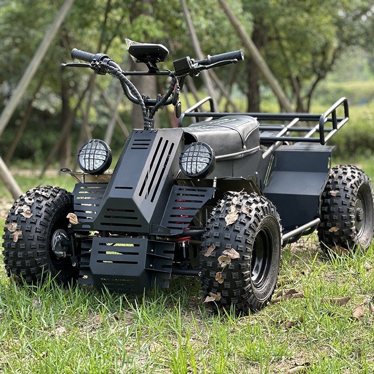 Electric Beach Car Four-Wheel Drive High-Speed Long-Range ATV All-Terrain Off-Road Vehicle 60V 52Ah 12kW Motor Max Speed 80km/h