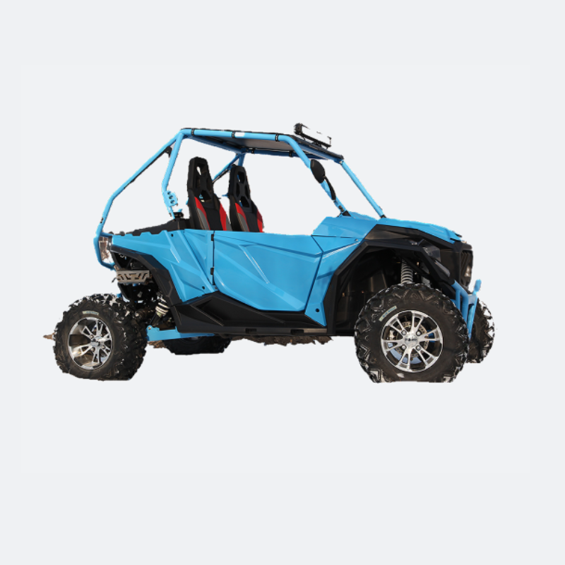 Hot Sale 4 Wheel Motorcycles Buggy 350cc SSV Quad Bike