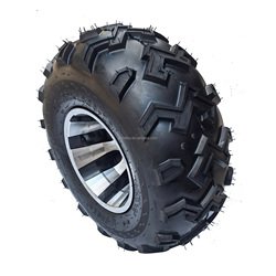 22x10-10