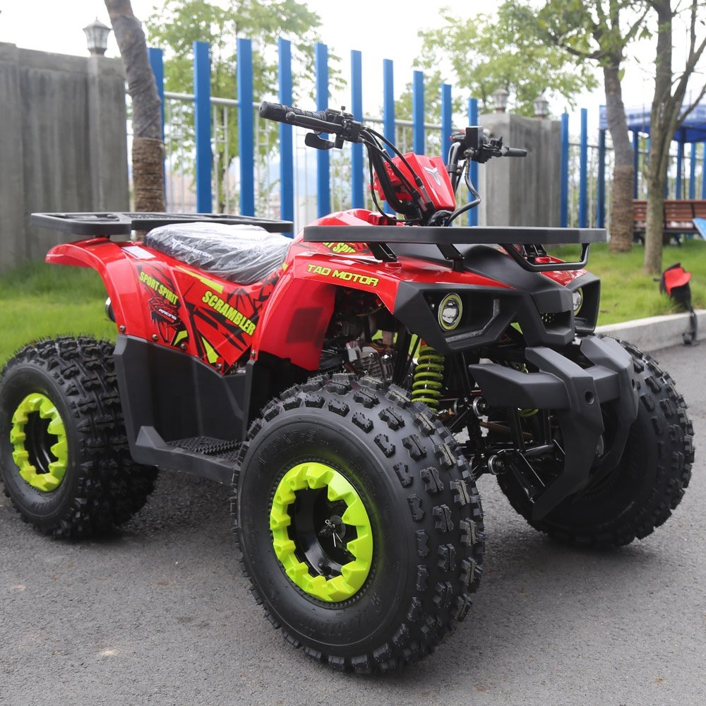 Tao Motor Drum Automatic 125CC Disc Quad Bike Atv for Kids Electric Start Utv Chain Drive Atv 125 2WD