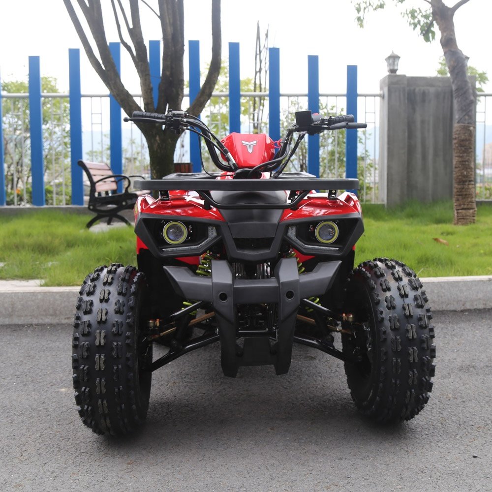 Tao Motor Drum Automatic 125CC Disc Quad Bike Atv for Kids Electric Start Utv Chain Drive Atv 125 2WD