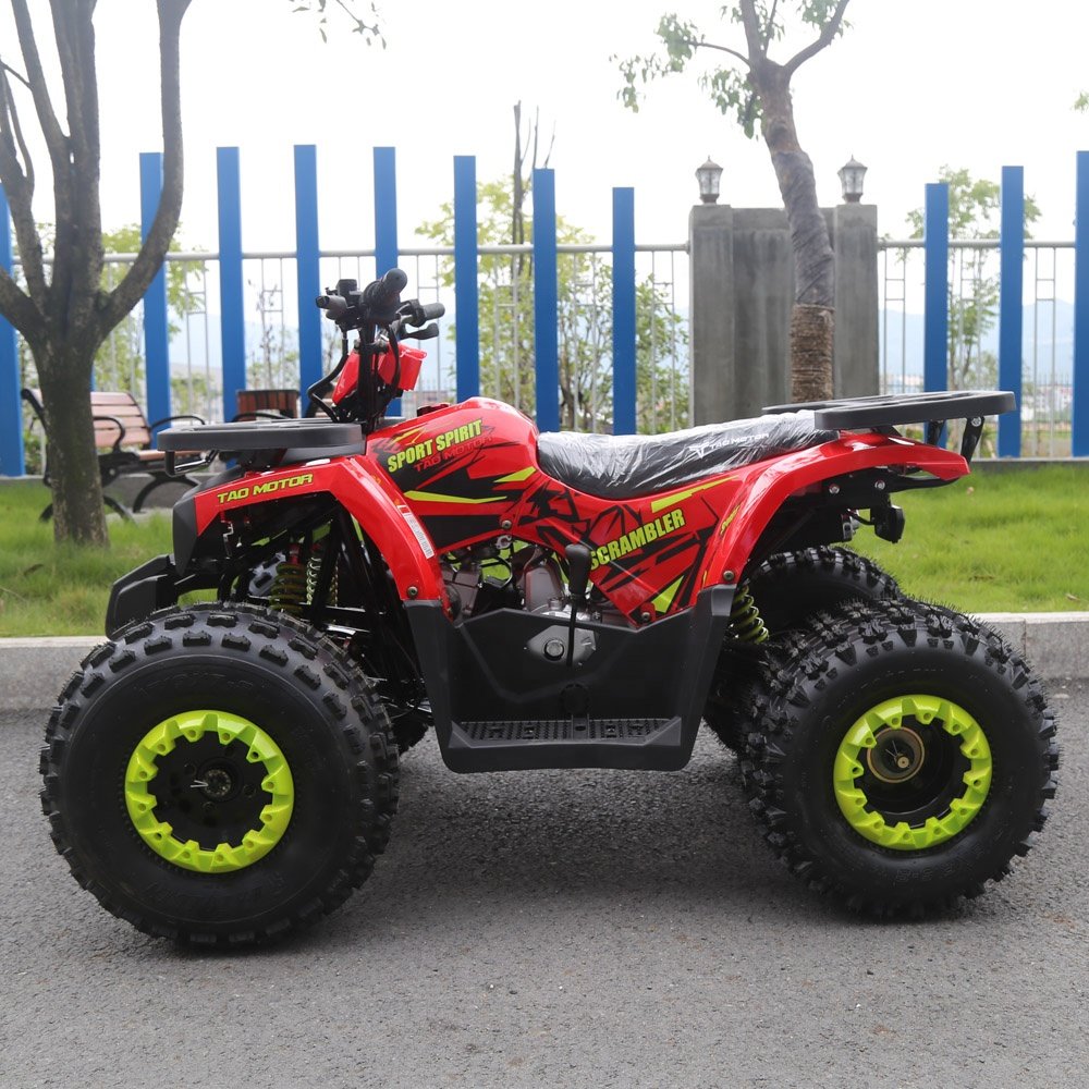 Tao Motor Drum Automatic 125CC Disc Quad Bike Atv for Kids Electric Start Utv Chain Drive Atv 125 2WD