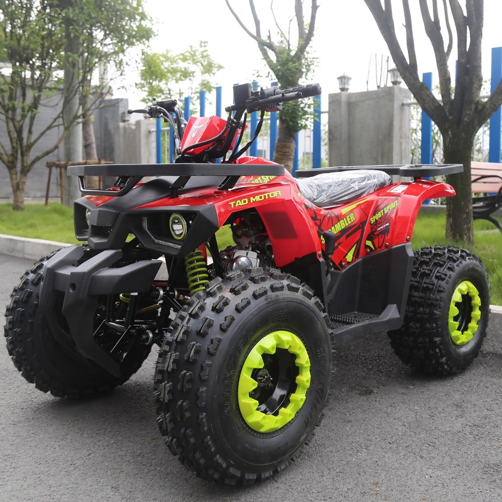 Tao Motor Drum Automatic 125CC Disc Quad Bike Atv for Kids Electric Start Utv Chain Drive Atv 125 2WD