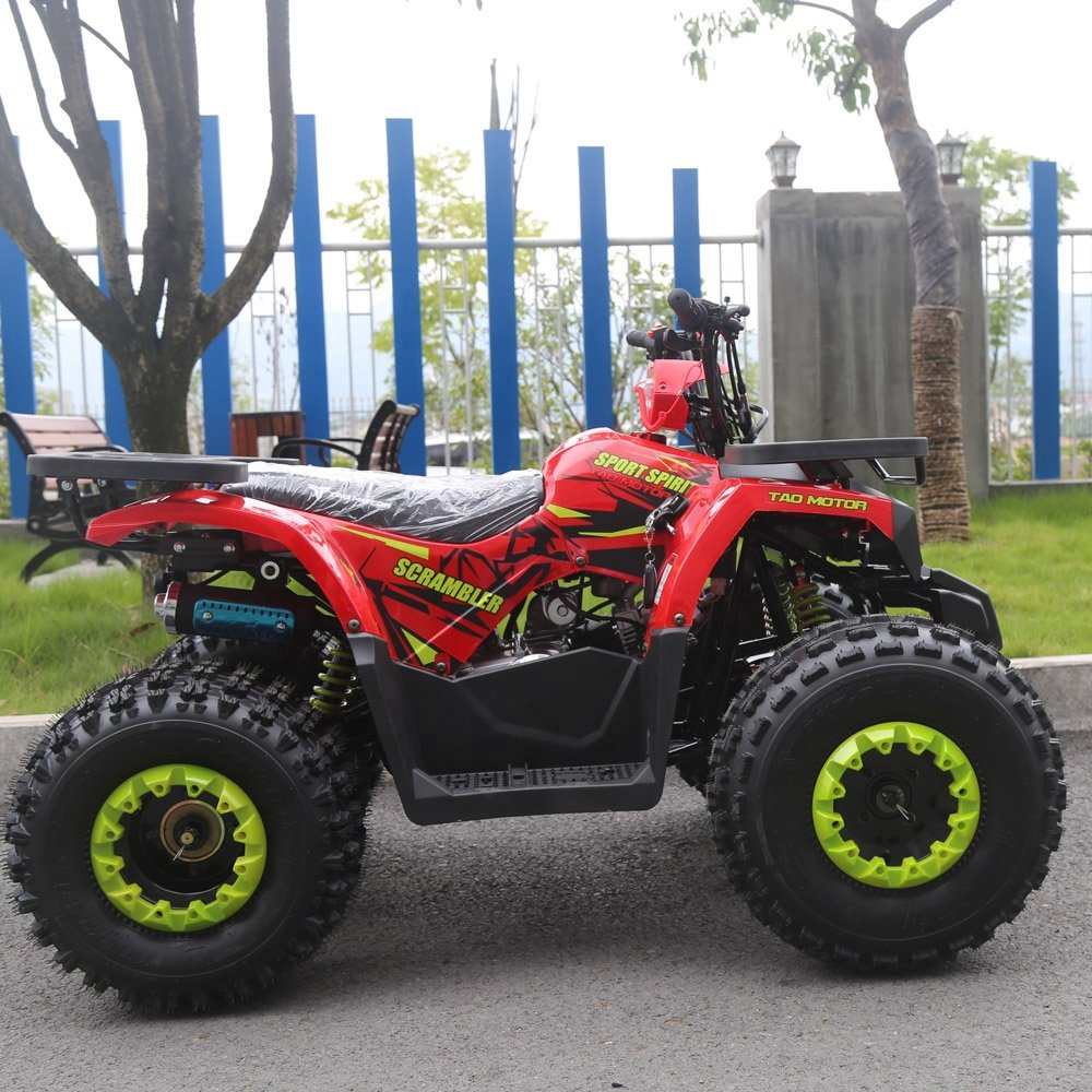 Tao Motor Drum Automatic 125CC Disc Quad Bike Atv for Kids Electric Start Utv Chain Drive Atv 125 2WD