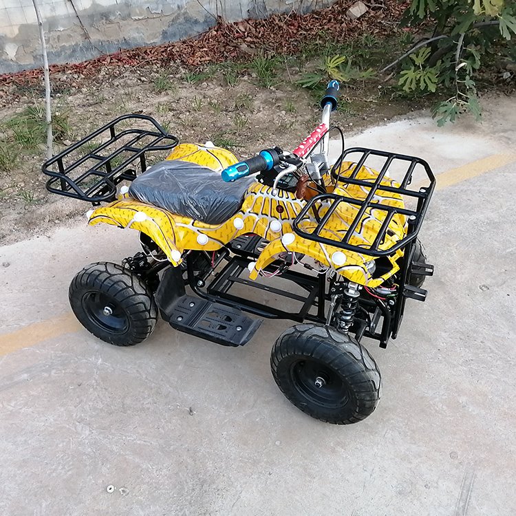 China Factory Direct Selling Electric ATV Four-wheel Off-road All-terrain Two-person Motorcycle Mini Sports Car ATV for Sales