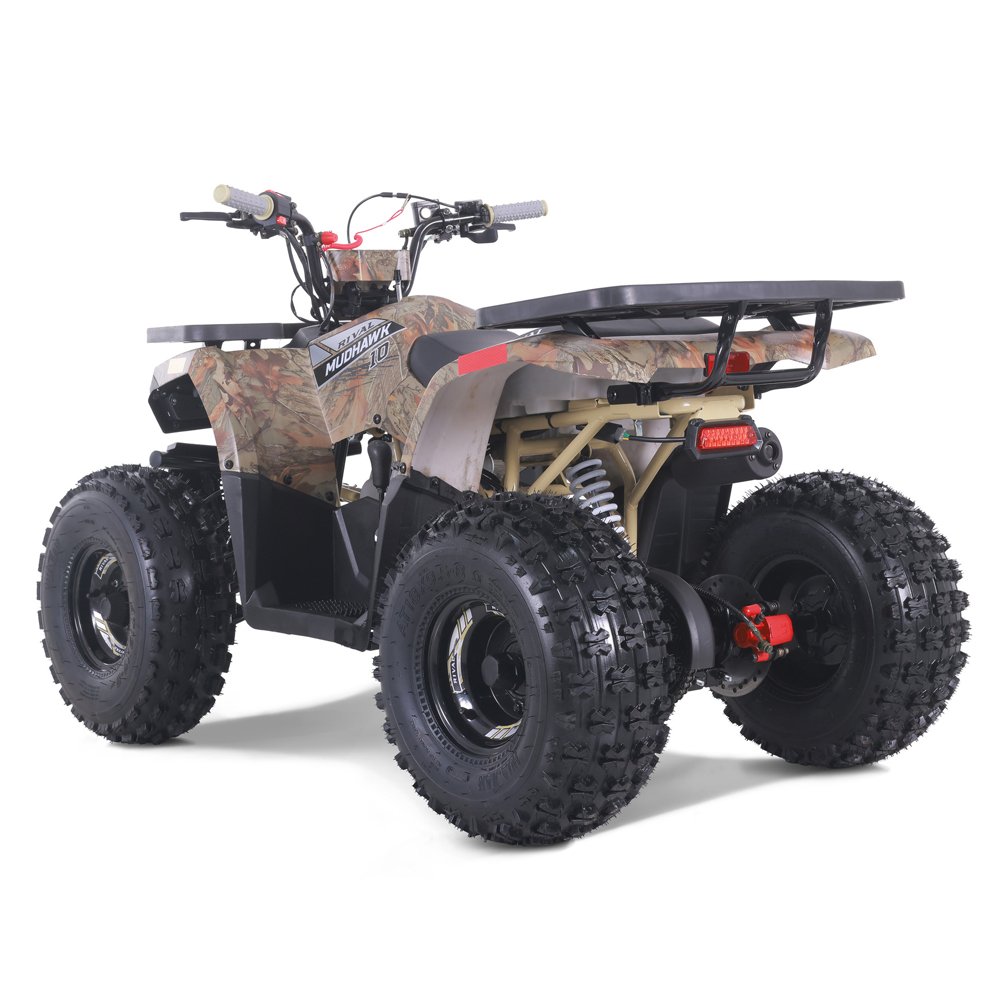Tao Motor 2024 New 110cc Gas Powered Automatic Kids Quad Bike ATV