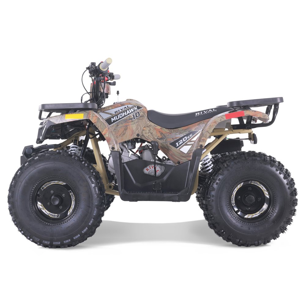 Tao Motor 2024 New 110cc Gas Powered Automatic Kids Quad Bike ATV