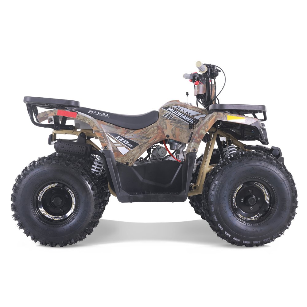 Tao Motor 2024 New 110cc Gas Powered Automatic Kids Quad Bike ATV