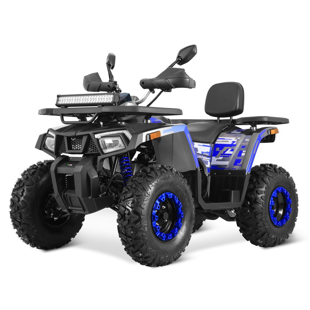 2025 New Electric Start Automatic Chain Drive 4 Wheeler ATV 200 Quad ATV 200cc for Adults