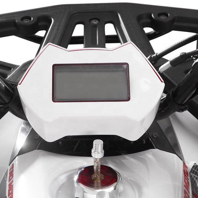 Tao Motor Chain Drive ATV 125cc with EPA CE Certificate