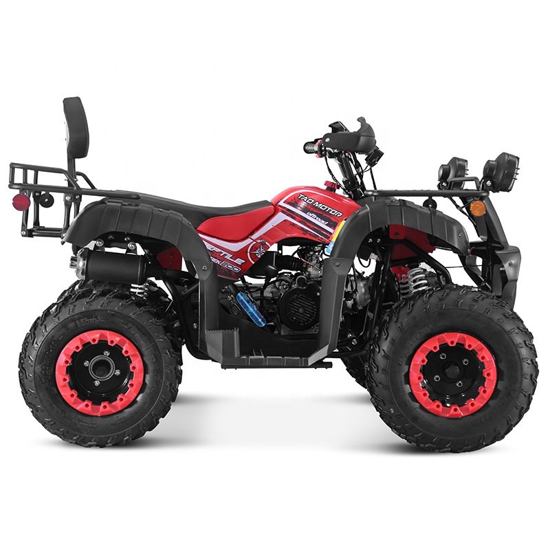 Tao Motor 2024 New Farm Use Side by Side Chain Drive Adult 2 Seat 200cc ATV