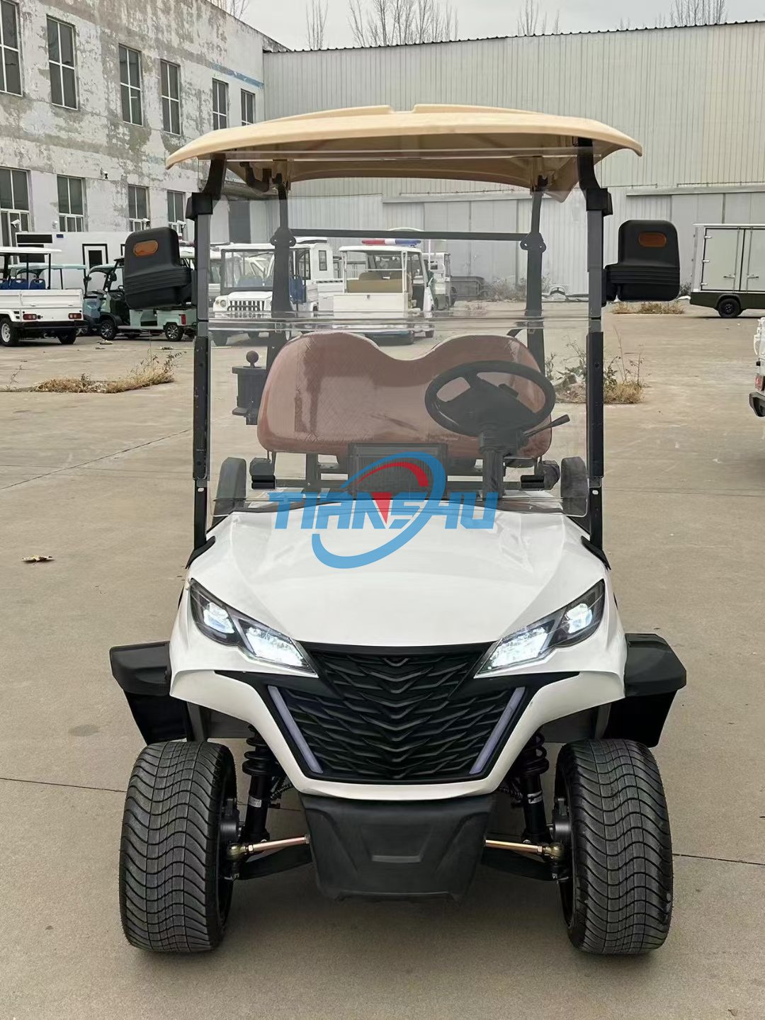 Cheap Price Off Road Street Legal Gas Golf Cart Buggy 4 Seater Golf Trolleys Atvs