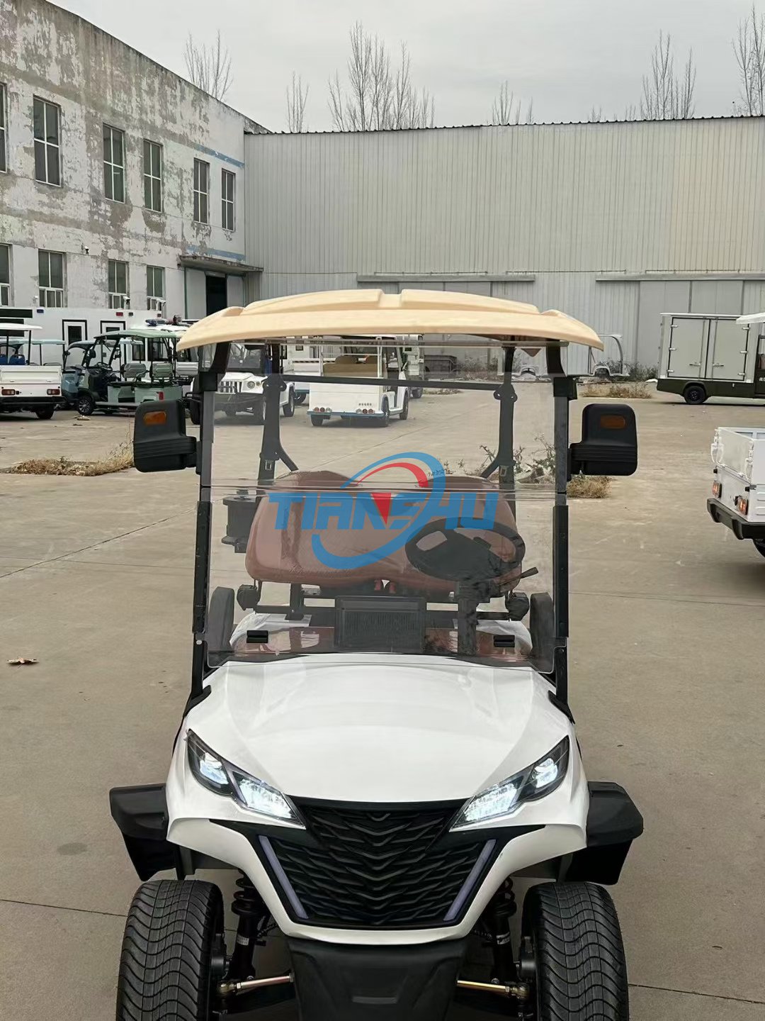 Cheap Price Off Road Street Legal Gas Golf Cart Buggy 4 Seater Golf Trolleys Atvs