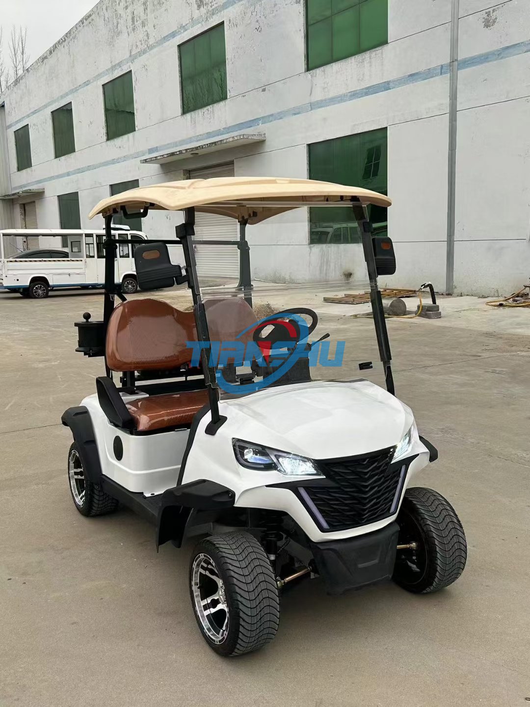 Cheap Price Off Road Street Legal Gas Golf Cart Buggy 4 Seater Golf Trolleys Atvs
