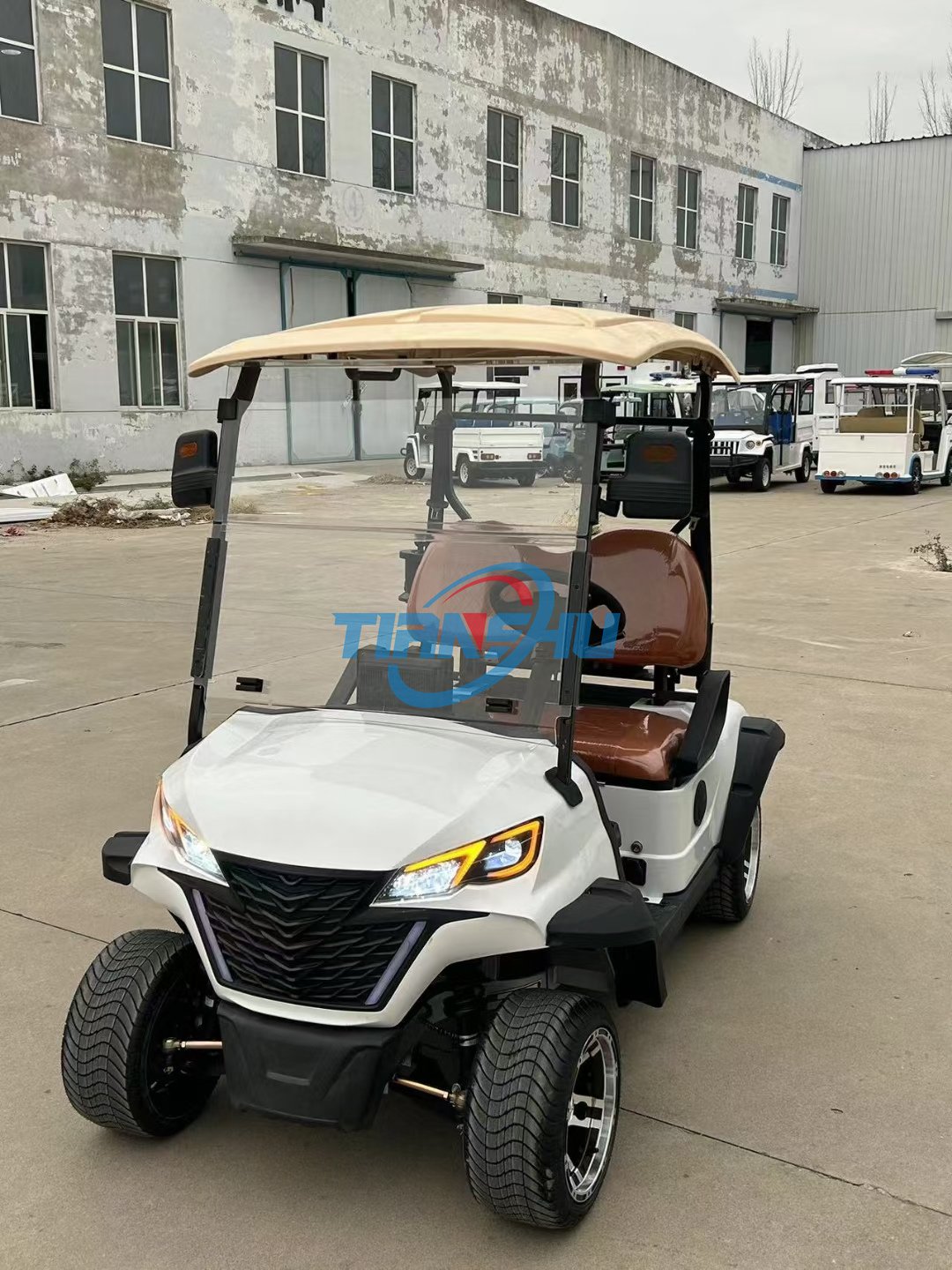 Cheap Price Off Road Street Legal Gas Golf Cart Buggy 4 Seater Golf Trolleys Atvs