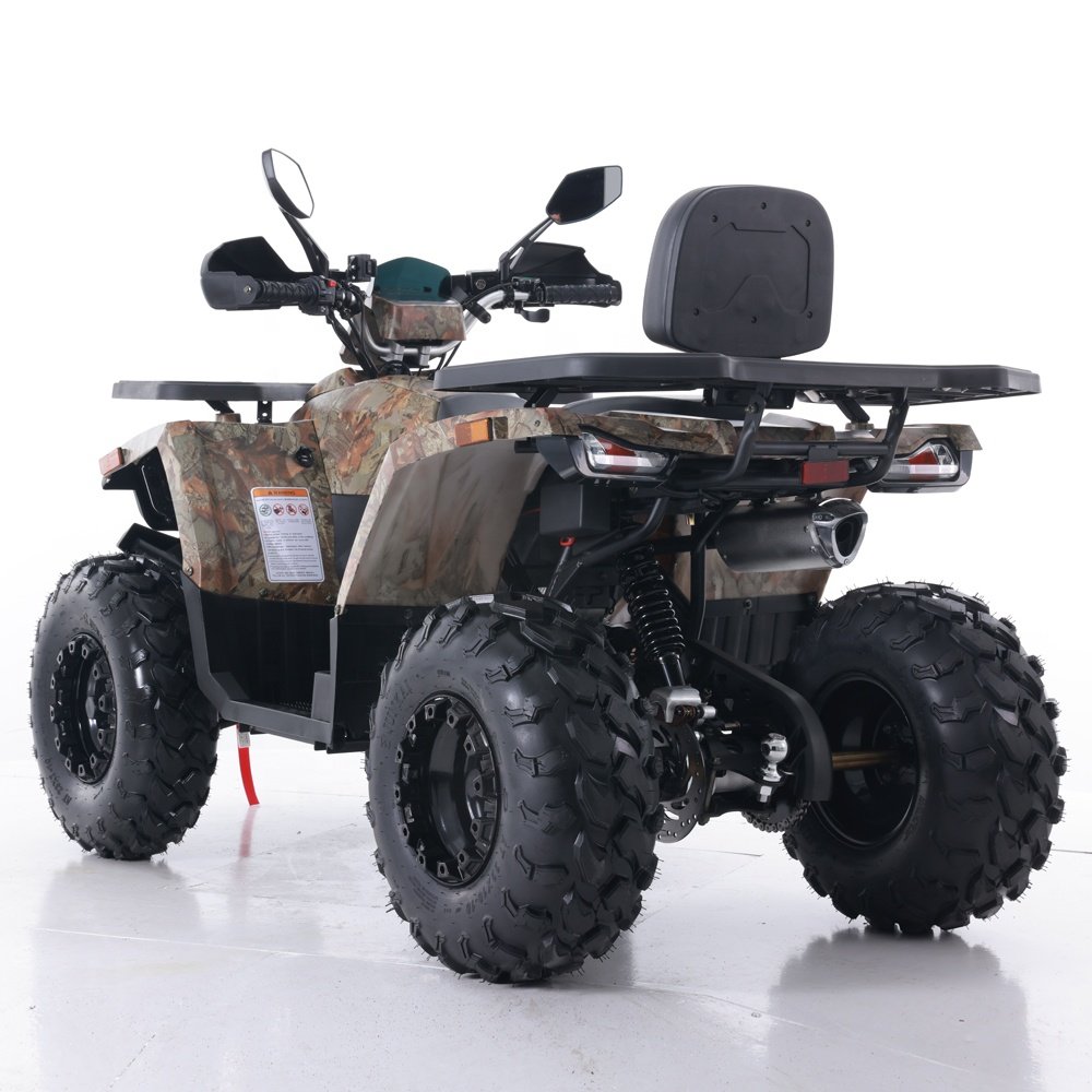 Tao Motor 2024 New Automatic Chain Driving Cuatrimotos Cheap Chinese Farm ATV Quad Bike 200cc ATV