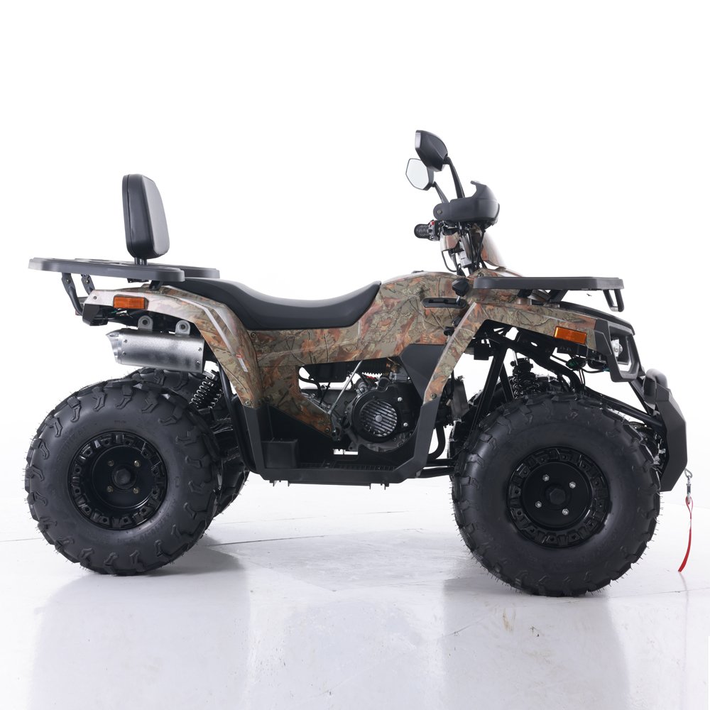 Tao Motor 2024 New Automatic Chain Driving Cuatrimotos Cheap Chinese Farm ATV Quad Bike 200cc ATV
