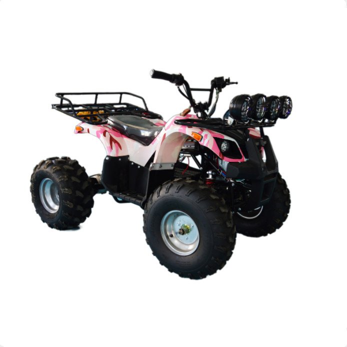 Hot Sales ATV Quad Bike 4 Stroke Cheap Beach Buggy